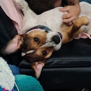 Meet your Posher, Tamara